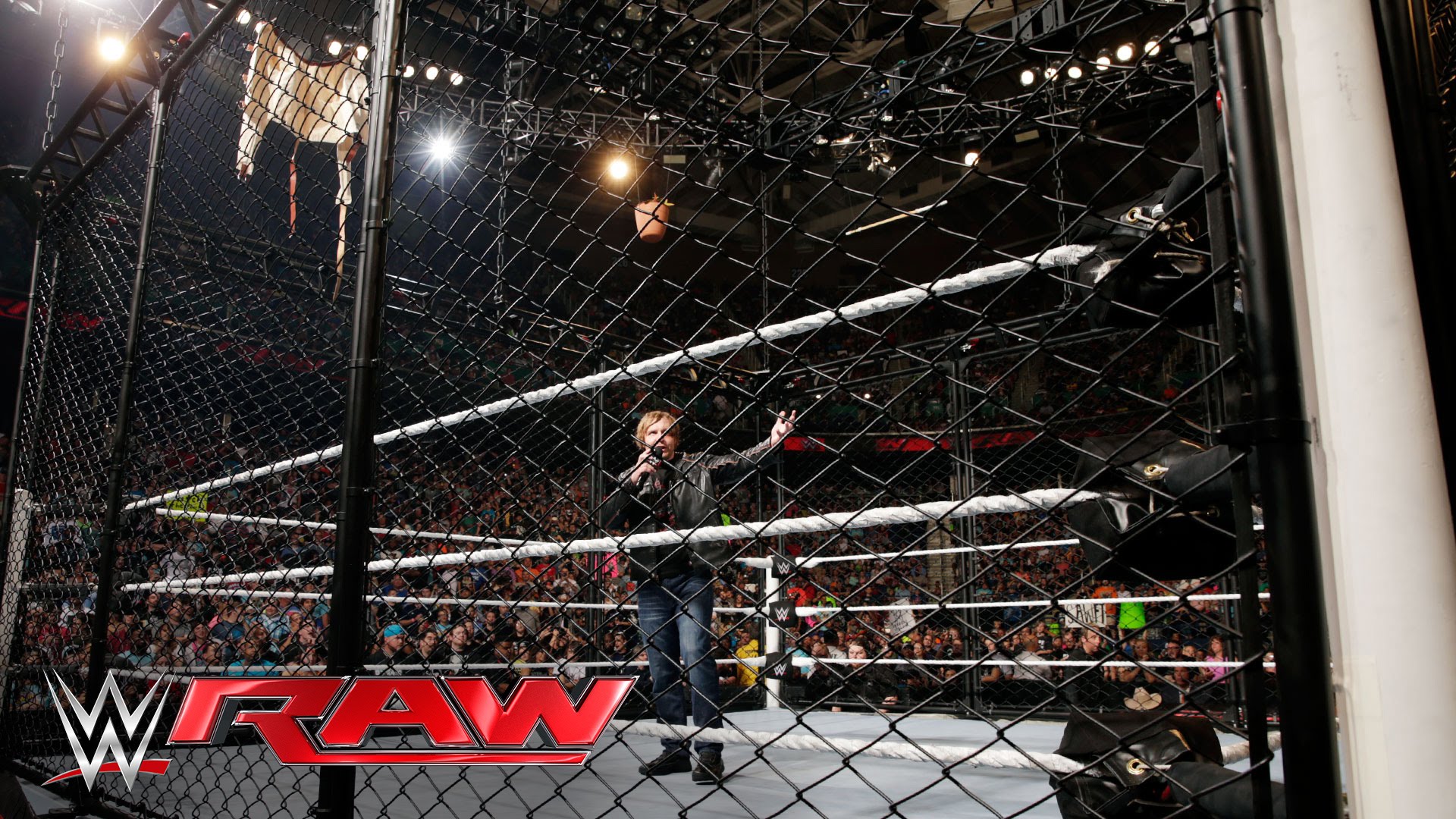 Asylum Match