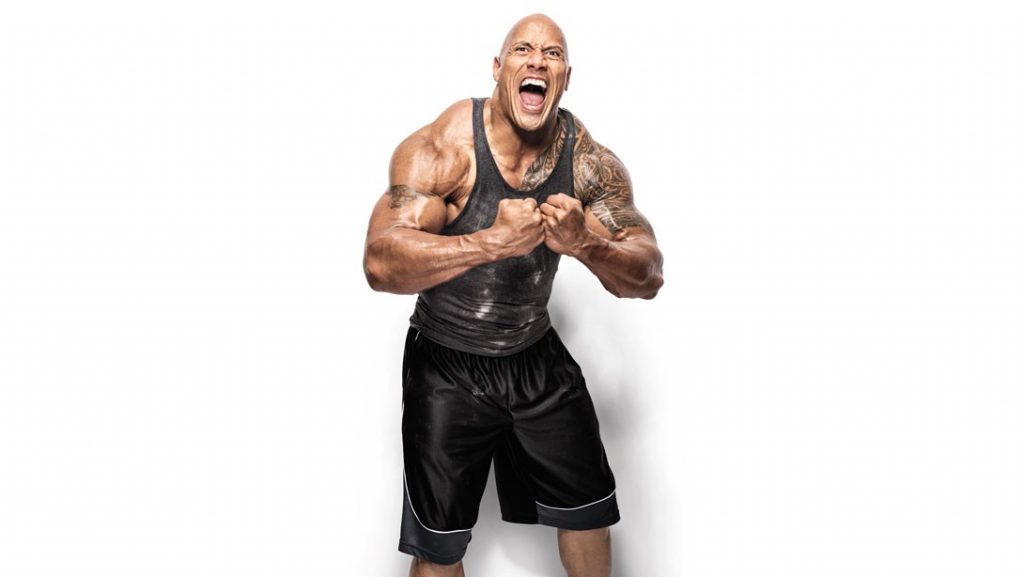 the rock