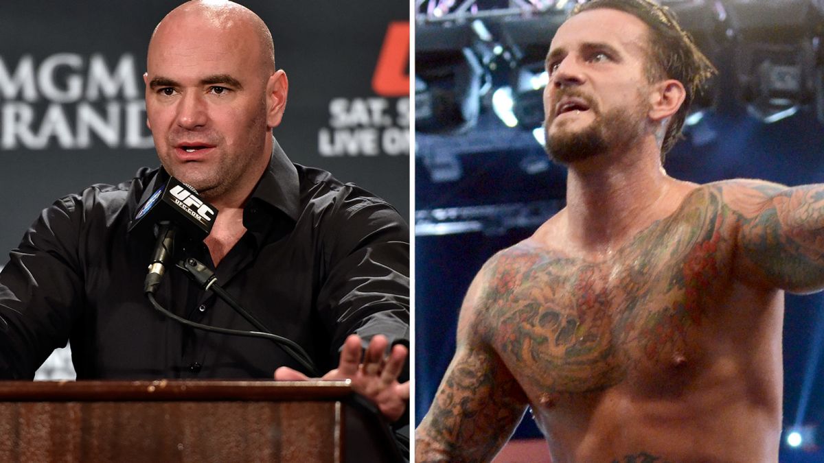 dana-white-cm-punk