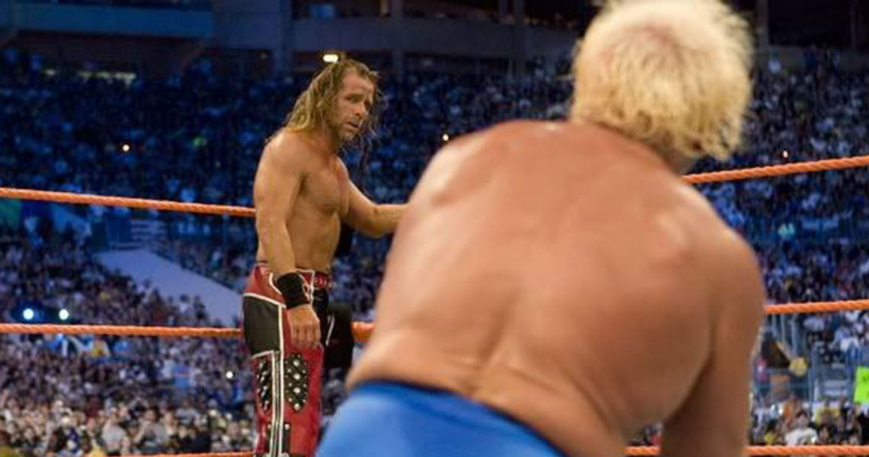 Michaels and Flair