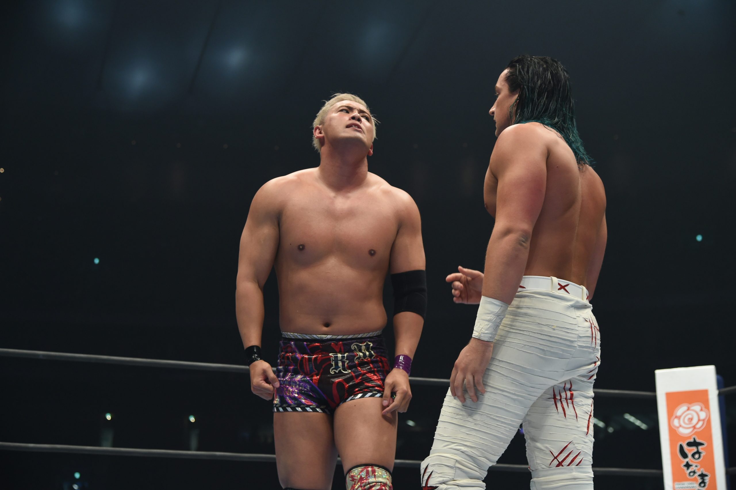 Wrestle Kingdom 13 in Tokyo Dome