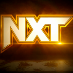 Kto wygrał w Steel Cage Matchu? Wyniki NXT 17.04.2024!