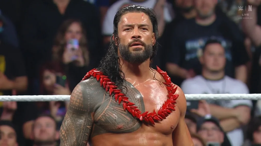 roman-reigns-2024-netflix.jpeg