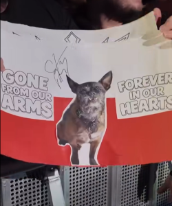 Zrzut ekranu 2026-01-18 173611