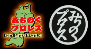Michinoku Pro