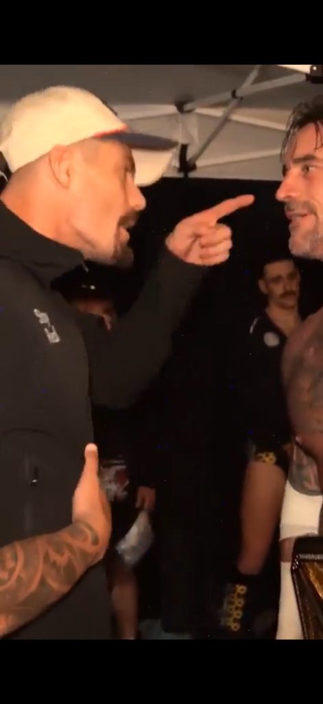 CM Punk Grayson Waller